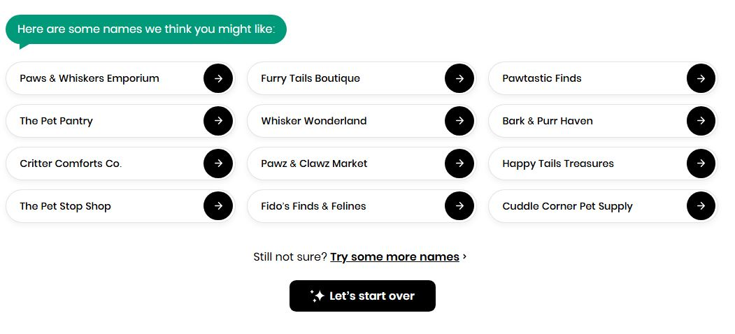 Name your store with the BYS Shopify Business Generator