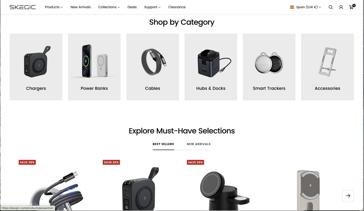 Skegic as an example for a tech dropshipping store name