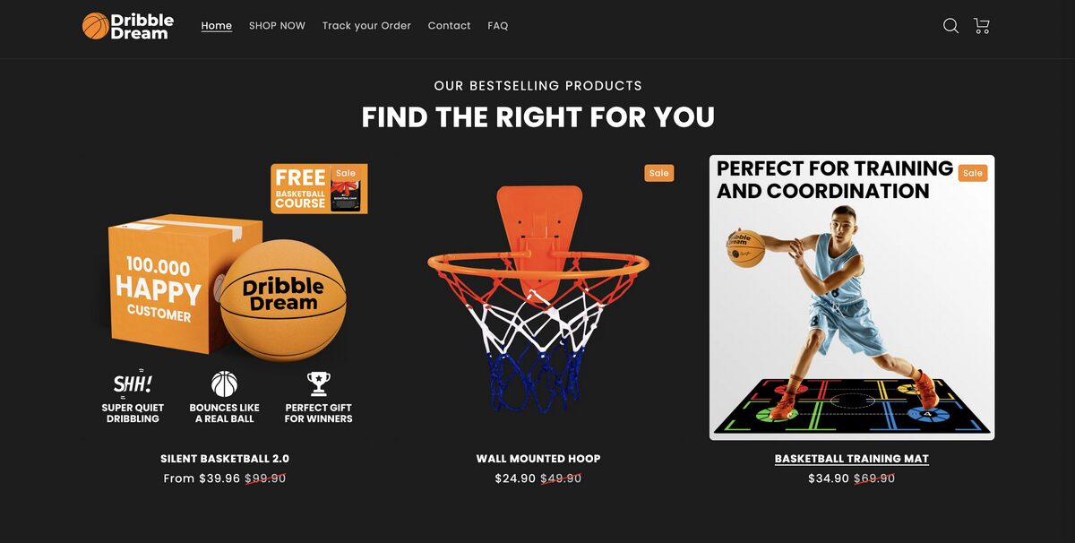 Dribble dream as an example for a sports  dropshipping store name