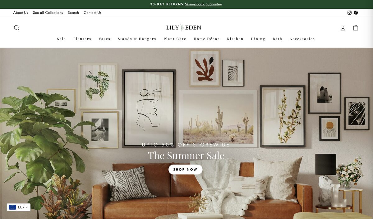 Lily and Eden as an example for a home and decor dropshipping store name