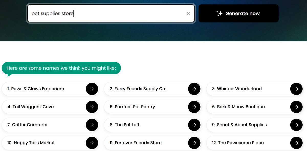 Business names generated by BYS Shopify Business Name Generator for a pet supplies store