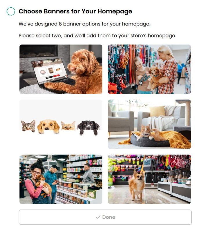 Customize your Shopify store