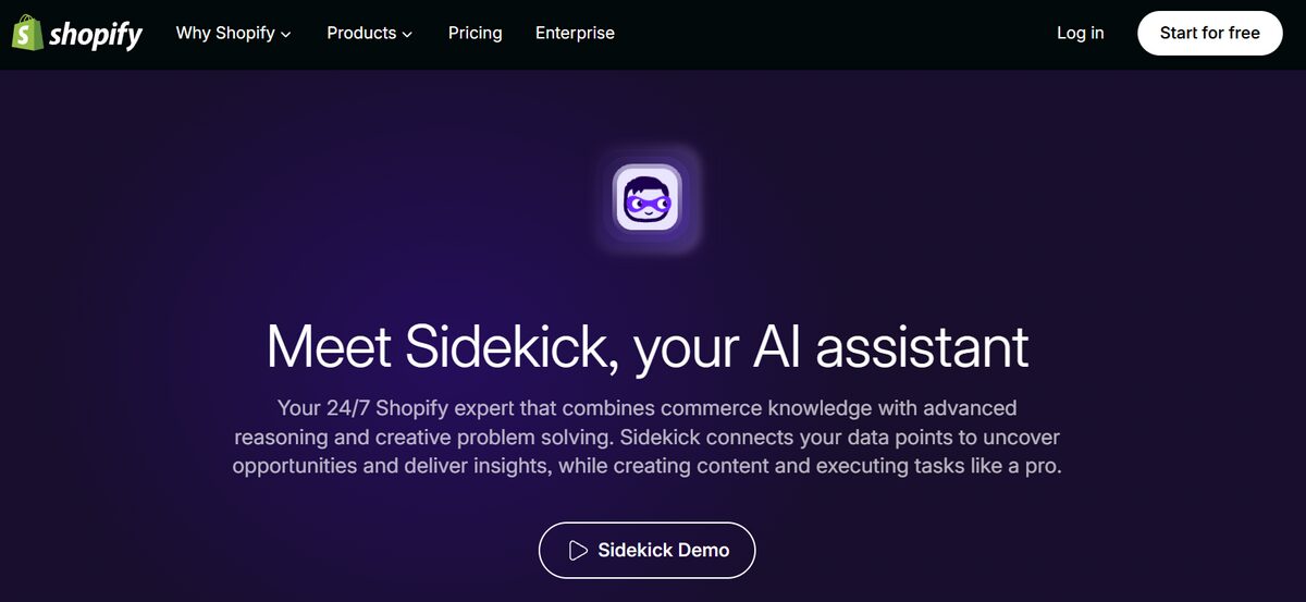 Shopify Sidekick AI built-in tools