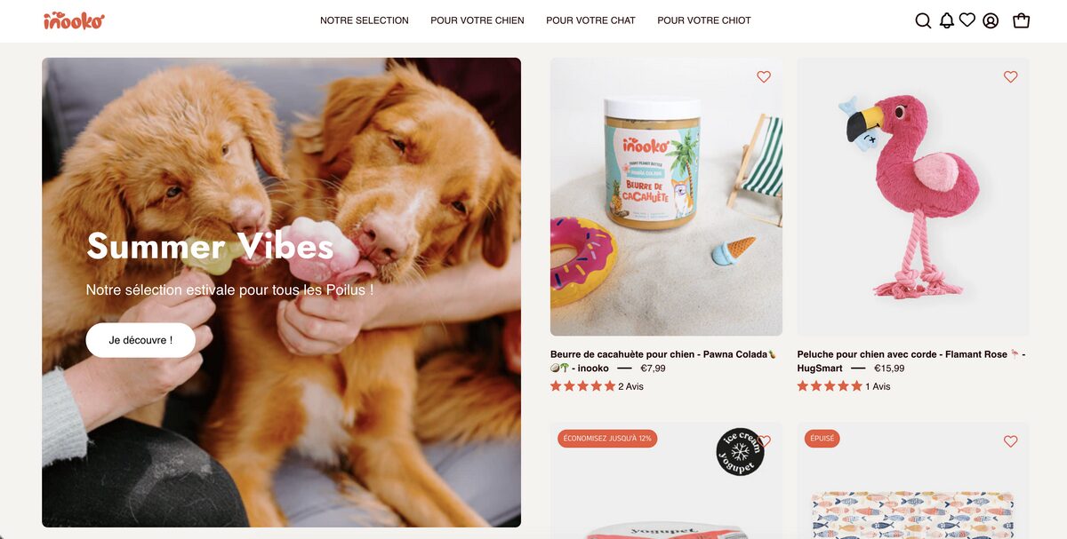 Inooko, one of the top dropshipping stores in France