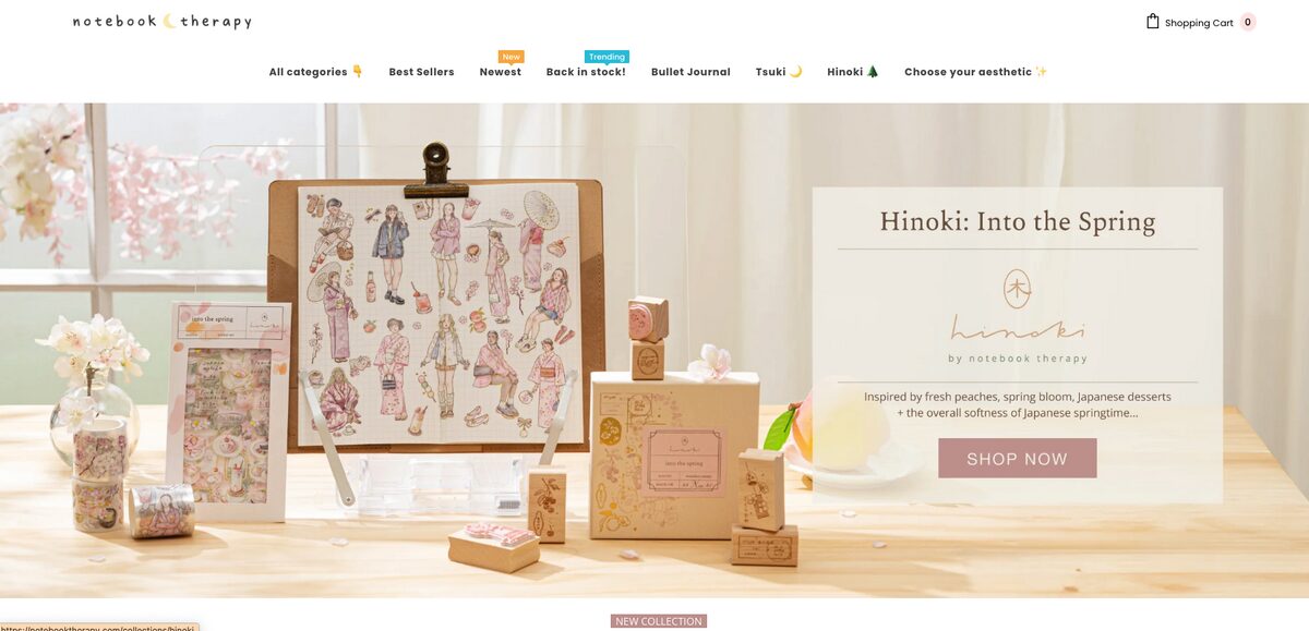 Notebook Therapy, one of the best Shopify dropshipping store examples