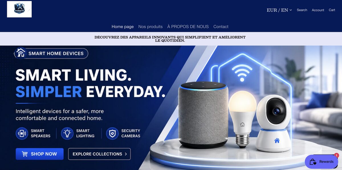Expert Gadget, one of the top dropshipping stores in France