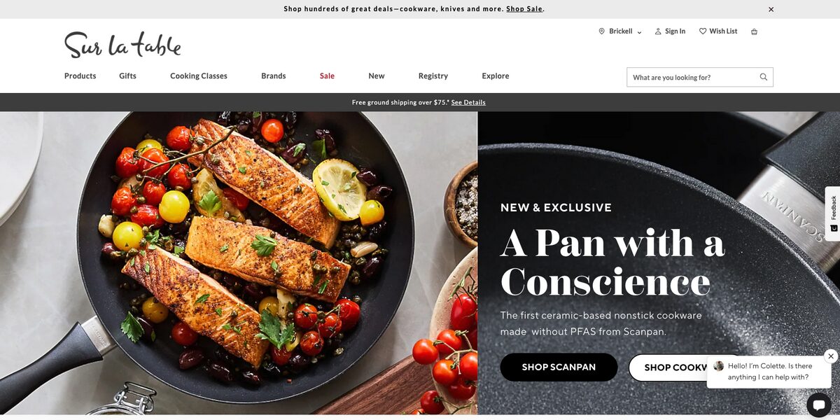 Sur La Table, one of the best Shopify dropshipping store examples